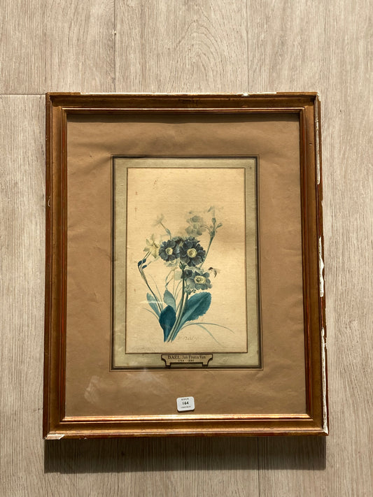 Jan Van Dael - Jeté de fleurs